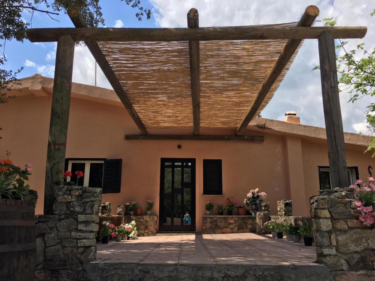 Azienda Agrituristica S'Argalasi - B&B - Affittacamere Loc S'Argalasi Austis Екстериор снимка