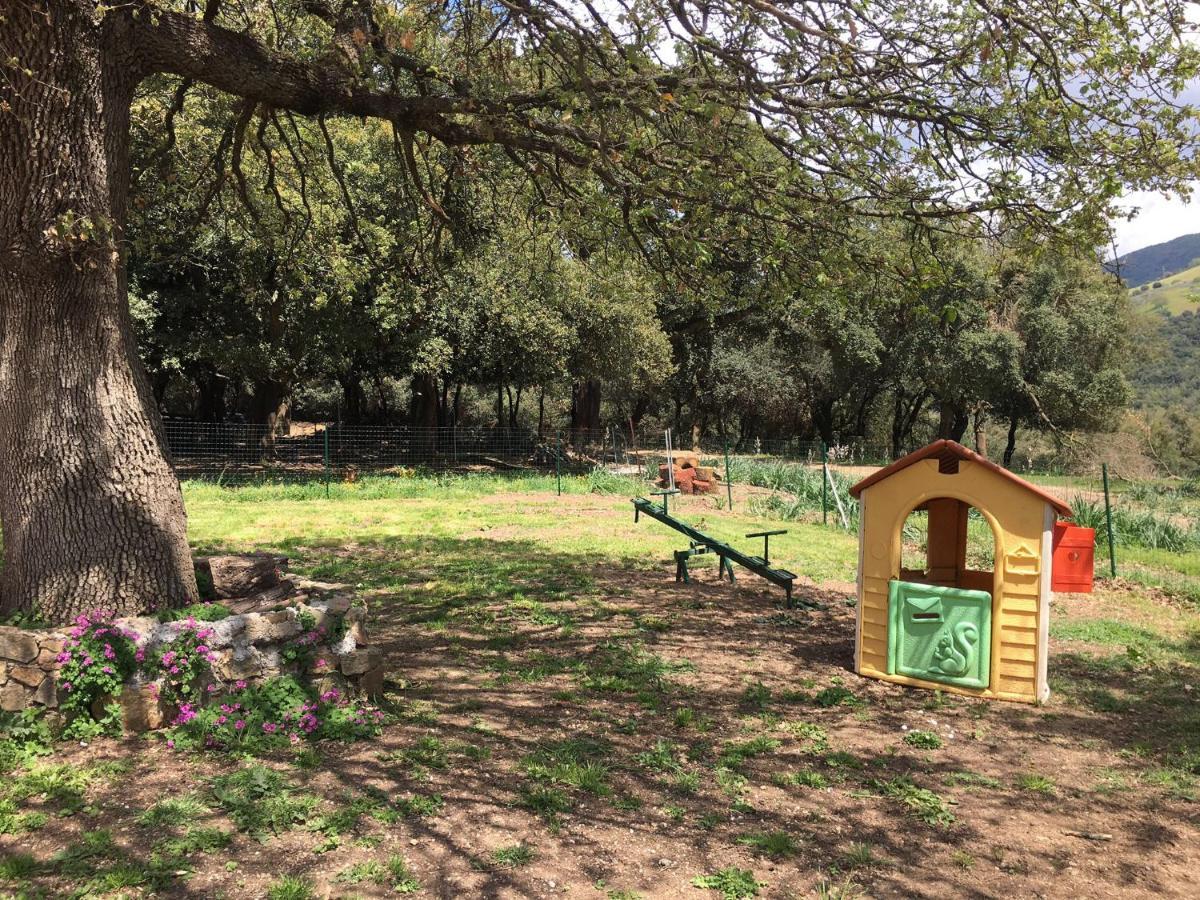 Azienda Agrituristica S'Argalasi - B&B - Affittacamere Loc S'Argalasi Austis Екстериор снимка