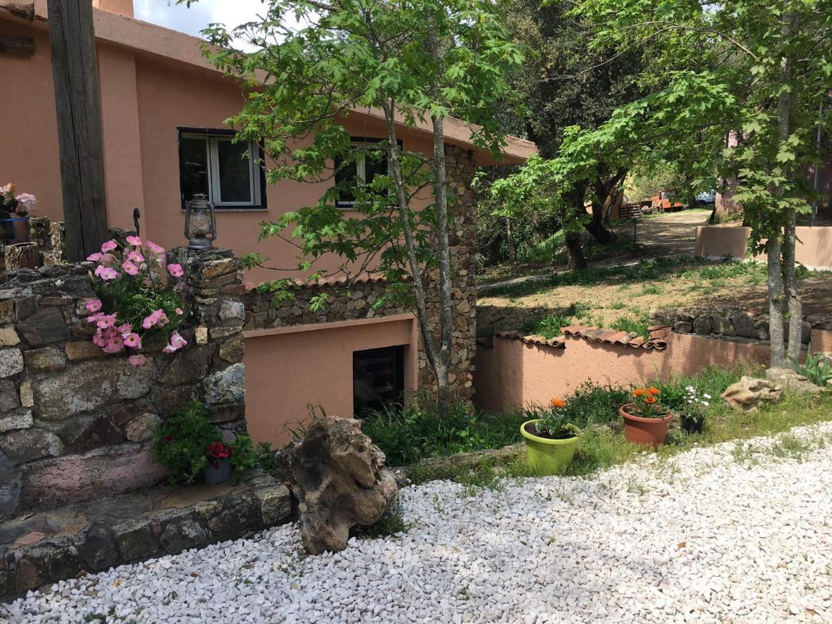 Azienda Agrituristica S'Argalasi - B&B - Affittacamere Loc S'Argalasi Austis Екстериор снимка
