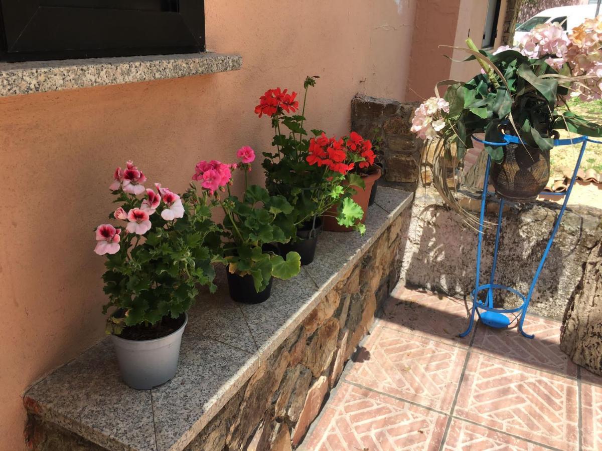 Azienda Agrituristica S'Argalasi - B&B - Affittacamere Loc S'Argalasi Austis Екстериор снимка