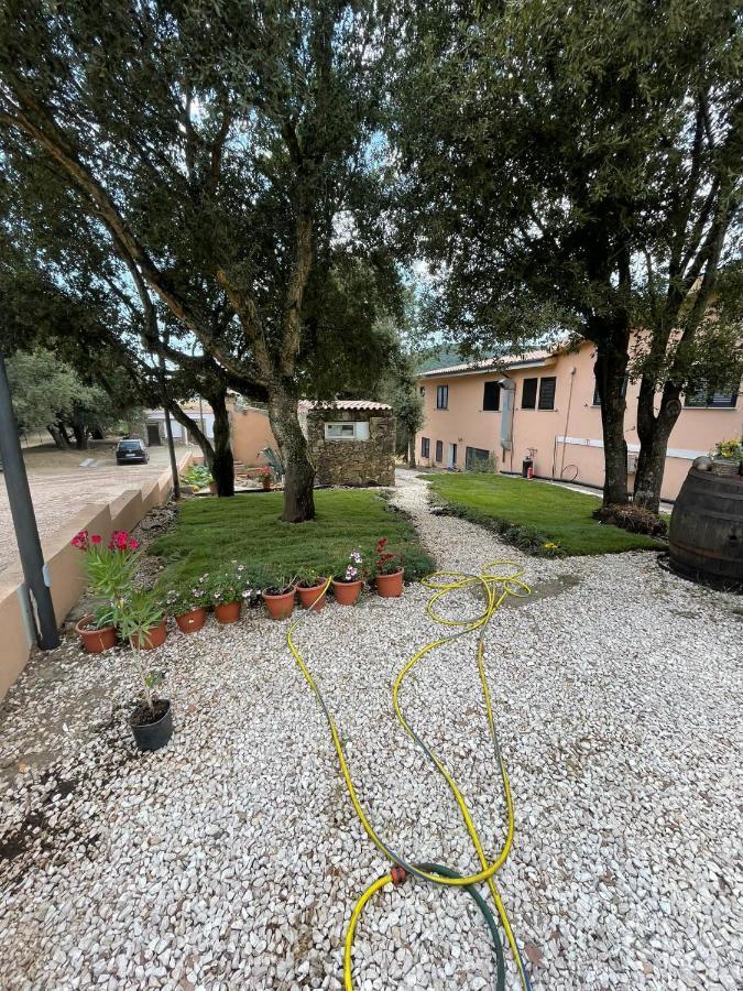 Azienda Agrituristica S'Argalasi - B&B - Affittacamere Loc S'Argalasi Austis Екстериор снимка